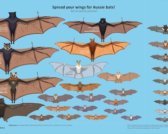 DIGITAAL BESTAND: levensgrote educatieve Australische vleermuisbanner