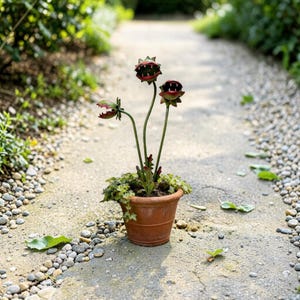 May include: A terracotta pot with a plant featuring three metal flower sculptures with open, toothy mouths. The sculptures have red and green coloring. The pot sits on a stone path with greenery in the background.