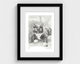 Classic Cat Drawing Framed Art Print, Gift for Cat Lovers, 11" x 14"