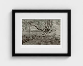 Gnarled Winter Tree Framed Art Print, Charcoal Drawing, Woodland Mythology, 14" x 11"