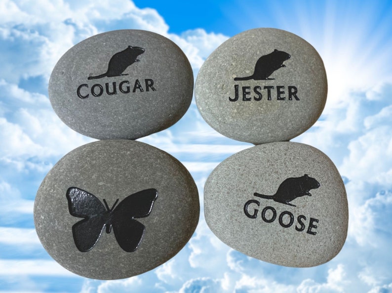 Pet memorial stone 2 3 inch river rock pet grave marker custom engraved and personalized pet stone image 5