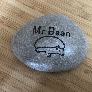 Engraved Natural Pet Memorial Rock Stone Black Lettering for Flower Garden Marker Desk Etched 3 to 3.5 Inch image 8