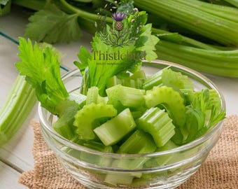 Tall Utah 52-70 Celery Seeds: Heirloom, Non-GMO, Crisp Garden Stalks (1000 Seeds)