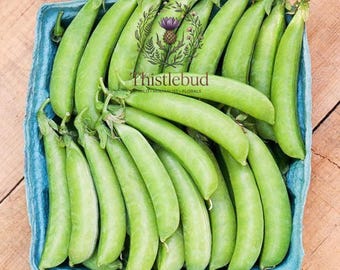 Sugar Ann Snap Pea Seeds: Heirloom, Non-GMO, Early Harvest, Compact Plants