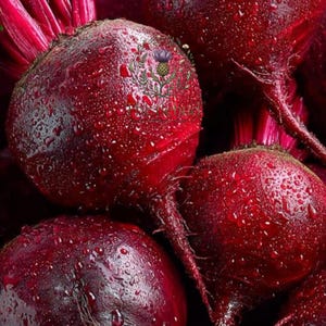May include: A cluster of deep red, round beetroots covered in small water droplets. The skin of the vegetables is smooth and dark, with a visible taproot on the lower sections. A circular logo featuring a thistle illustration and the text The Thistle is centered.