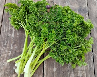 Forest Green Parsley Seeds: Heirloom, Non-GMO, 250 Seeds for Flavorful Herbs