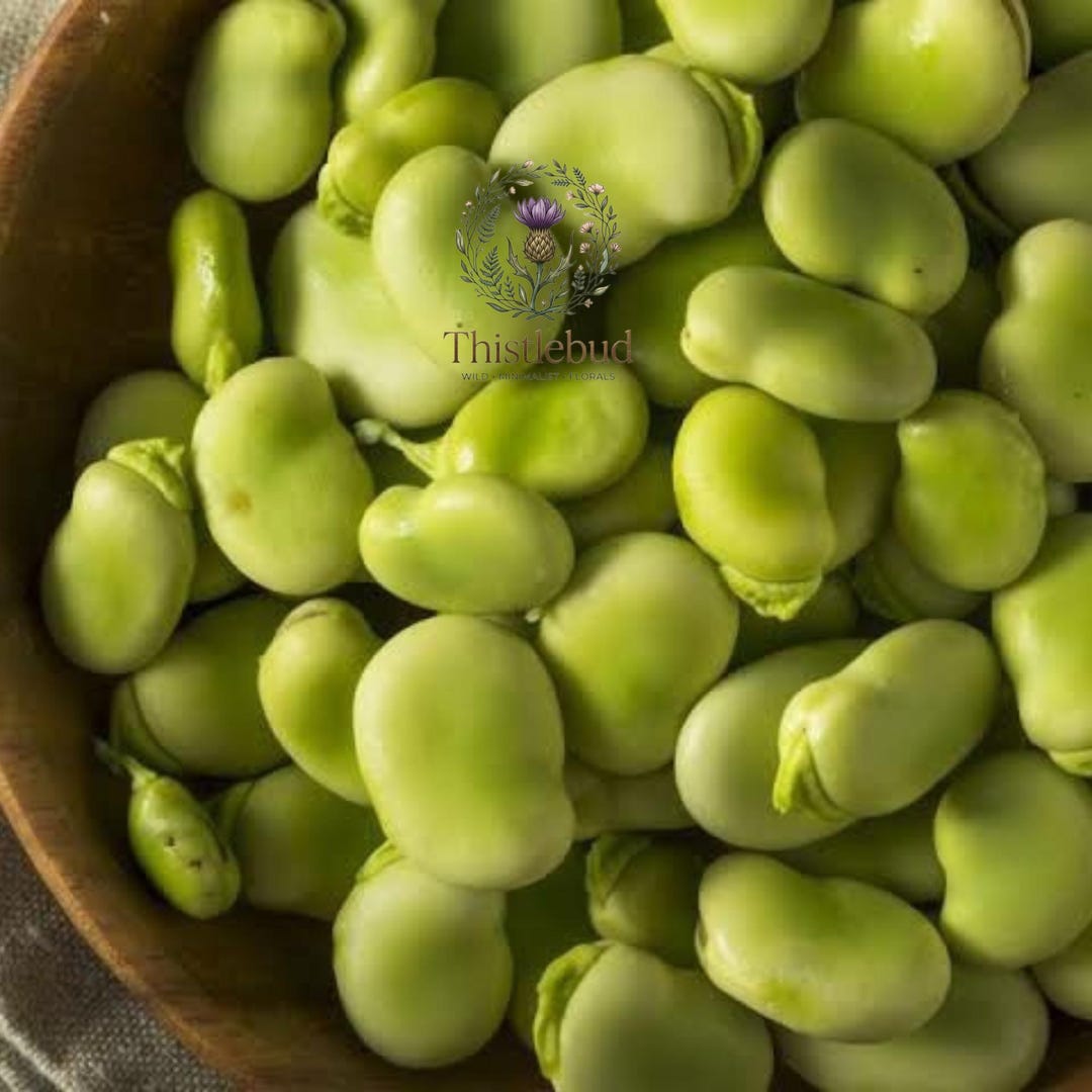 Burpee Improved Lima Bean: Heirloom Butter, Non-gmo Vegetable Garden ...