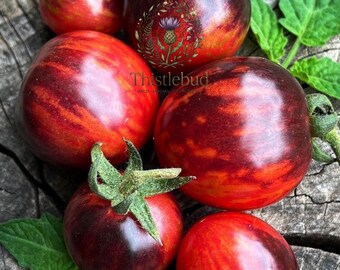 Black Cherry Tomato Seeds: Heirloom, Non-GMO, Smoky Flavor, Salad Variety