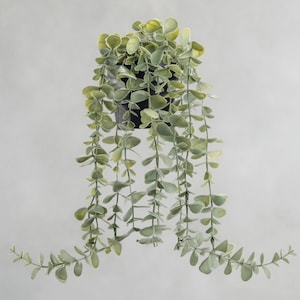 May include: A hanging artificial plant with cascading green and yellow-edged leaves. The plant is in a black pot and is suspended against a neutral background. The leaves have a rounded shape and create a trailing effect.