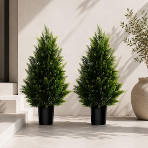 May include: Two artificial evergreen trees in black pots. The trees have dense, green foliage and a conical shape. The pots are cylindrical and sit on a light-colored surface. The background is a neutral wall with a hint of sunlight.