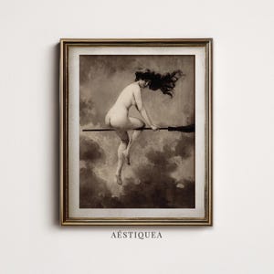 May include: A framed sepia-toned art print depicting a figure with long flowing hair riding a broomstick through a cloudy sky. The artwork is enclosed in a metallic gold frame and features the text AESTIQUEA centered at the bottom edge.