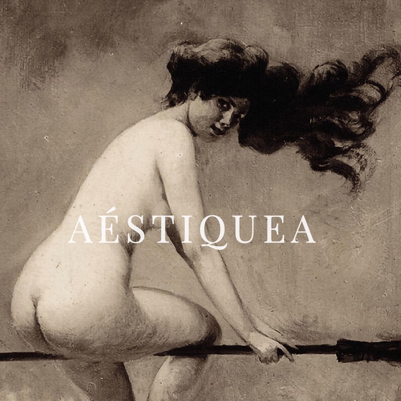 May include: A sepia-toned artistic print featuring a nude figure with long, flowing dark hair positioned horizontally across a thin, dark line. The word A&Eacute;STIQUEA is printed in white, capitalized, sans-serif letters across the center of the image.