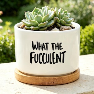 May include: A white ceramic cylindrical planter with a bamboo saucer base. The front of the planter features the black text "WHAT THE FUCCULENT" in a bold, sans-serif font. A green succulent plant is potted inside the container.
