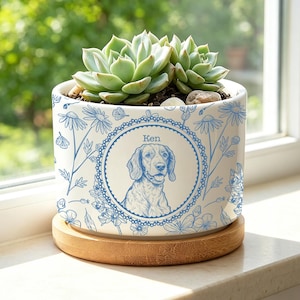 Personalized Pet Portrait Planter, Pet Succulent Planter, Pet Home Decor, Dog Memorial, Dog Remembrance Gift, Gift for Pet Lovers