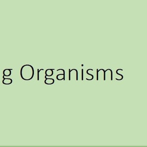 May include: An illustrated diagram titled "Variety of Living Organisms" on a light green background. The diagram depicts a tree-like structure with various organisms, including plants, animals, and microorganisms, labeled with their respective names.