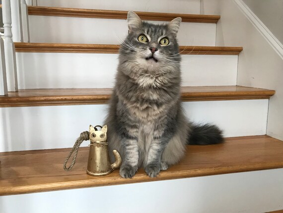 Mr. Meowsur CAT BELL in Gold Rustic Farmhouse Style - Adorable