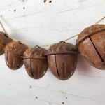 Acorn Jewelry