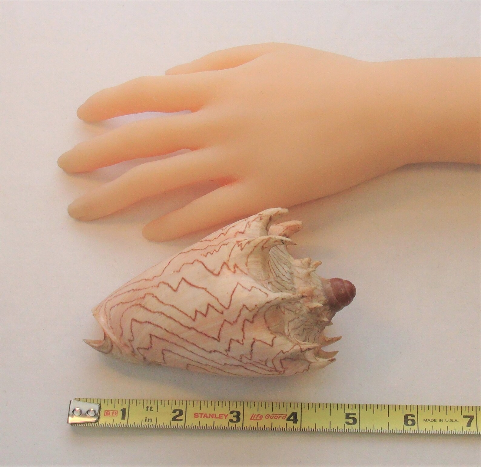 Imperial symplectic picture