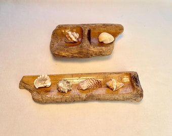 MINI CUENCOS DE BAMBÚ CON CONCHAS DEL CARIBE - EN ESTADO NATURAL - A TU GUSTO - PARA DECORACIÓN DE HOGARES PEQUEÑOS - CASA DE PLAYA