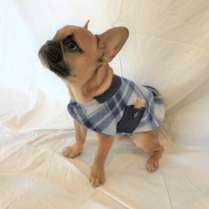 May include: A French bulldog puppy wearing a blue and white plaid fleece dog sweater with a blue pocket and a bone sticking out of the pocket.