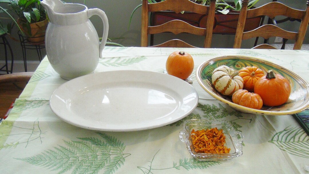 イングランド ビンテージ 1950's Portland Pottery セット イングランド ビンテージ 1950's Portland Pottery セットの通販