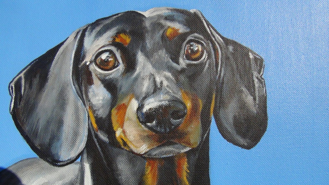 Adorable Dachshund Portrait Acrylic Painting of Your Etsy