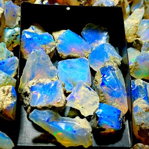 May include: A collection of raw opals, showcasing vibrant blue and iridescent colors. The opals are set against a dark background, highlighting their natural beauty and unique textures. The stones vary in size and shape, with rough, earthy exteriors.