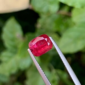 Puede incluir: Una gema roja vibrante, sujeta por unas pinzas plateadas, sobre un fondo verde borroso. La gema tiene un corte cojín con facetas visibles, que reflejan la luz. El color es un rojo intenso y saturado, lo que sugiere un rubí o una piedra preciosa similar.