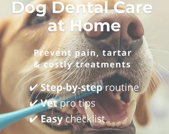 Vet-Approved Dog Dental Care Guide | Prevent Tartar, Bad Breath (PDF Download)