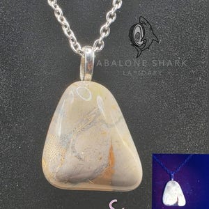 May include: Abalone Shark Lapidary pendant necklace. The pendant is a polished, triangular stone with a silver-colored bail, suspended from a silver chain. The stone features beige, gray, and orange patterns. The text "CV Reactive !!" is in the image.
