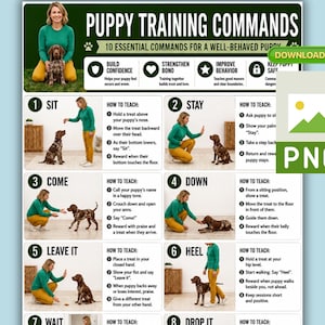 May include: A digital instructional poster titled Puppy Training Commands featuring 10 essential commands for a well-behaved puppy. The layout includes numbered steps with photographs of a person in a green sweater and yellow pants training a brown puppy.