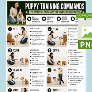 Pode incluir: Um cartaz instrutivo intitulado PUPPY TRAINING COMMANDS apresentando 10 comandos essenciais para um filhote bem comportado. O gráfico inclui passos numerados com fotografias demonstrando como ensinar a sentar, ficar, vir e deitar.