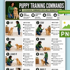 Pode incluir: Um cartaz instrutivo intitulado Puppy Training Commands apresentando 10 comandos essenciais para um filhote bem comportado. O gráfico inclui passos numerados com fotos de uma pessoa e um golden retriever demonstrando como ensinar os comandos.