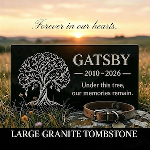 Puede incluir: Una placa conmemorativa rectangular de granito negro con un diseño de árbol grabado, el nombre GATSBY, los años 2010-2026 y el texto "Under this tree, our memories remain." Un collar de cuero marrón con hebilla metálica descansa frente a la placa.