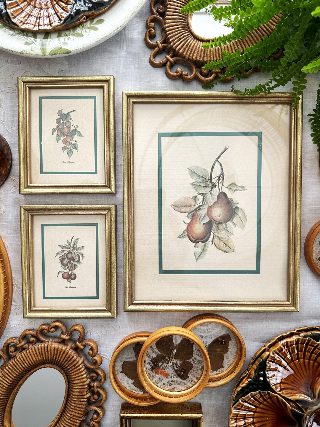 Vintage Framed Botanical Prints/set of Three Etsy