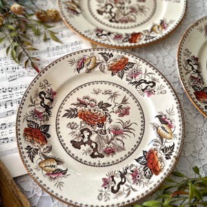 French Limoges Dinner Plate Set Floral With Green Border - Etsy