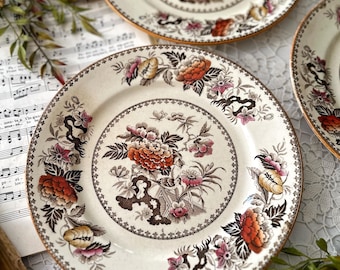 French Limoges Dinner Plate Set Floral With Green Border - Etsy