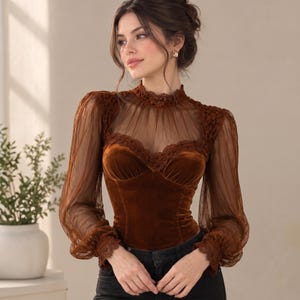 Puede incluir: Un top de manga larga en terciopelo marrón con mangas de malla transparente y cuello alto. La prenda presenta detalles de encaje intrincado a lo largo del cuello, los puños y la línea del busto en forma de corazón, creando textura.