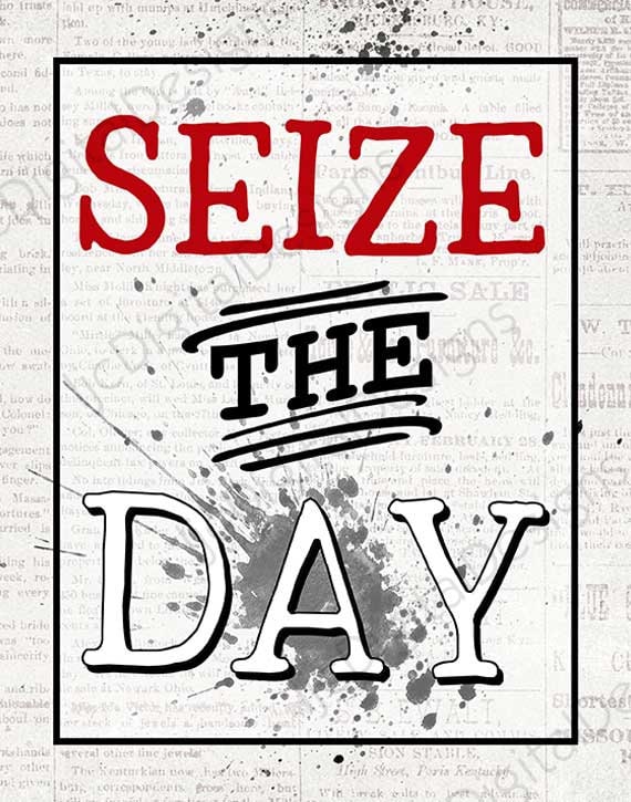 Everything You Need to Know About the iOS City Seilse Newspaper App
