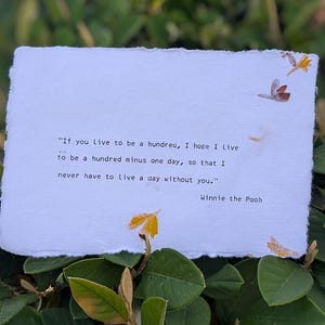 May include: A white paper card with a quote from Winnie the Pooh, set against a backdrop of green foliage and small yellow flowers. The quote begins, "If you live to be a hundred..." and is signed by the author.