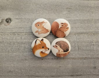 Animals fridge magnets