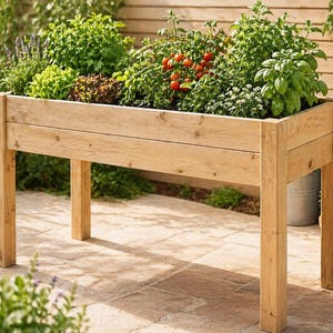 Può includere: Un'aiuola rialzata in legno riempita di erbe e verdure, tra cui pomodori e lattuga. La fioriera rettangolare è in legno chiaro e poggia su quattro robuste gambe. Ideale per un giardino, misura circa 120 cm di lunghezza.