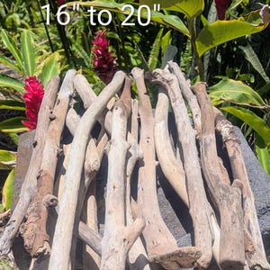 Maui Sun-Bleached Driftwood | 16"-20" XL Statement Branch | macrame supplies, beach wood for crafts