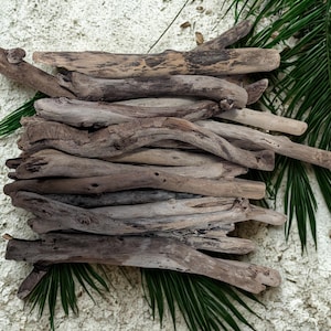 May include: A collection of weathered driftwood pieces in varying shades of brown and gray, arranged on a textured white surface. Green palm fronds are placed around the driftwood, adding a natural element to the composition. The wood pieces have a rough, organic texture.