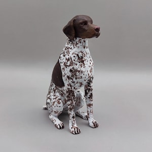 Può includere: Statuetta di un cane Pointer tedesco seduto. Il cane ha la testa e la schiena marroni, con un mantello maculato bianco e marrone. Il cane è seduto in posizione eretta con le orecchie ritte e gli occhi rivolti in avanti.