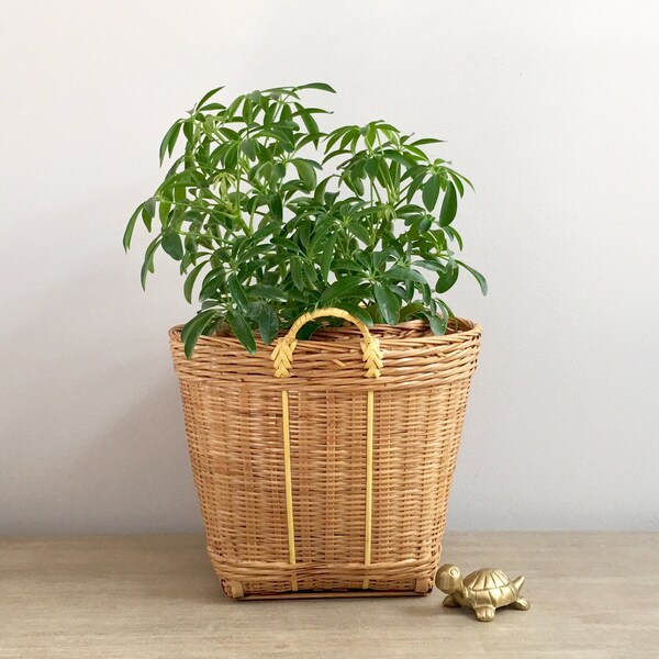 Wicker Basket Planter Yellow Raffia Trim Boho Cali Beach Style