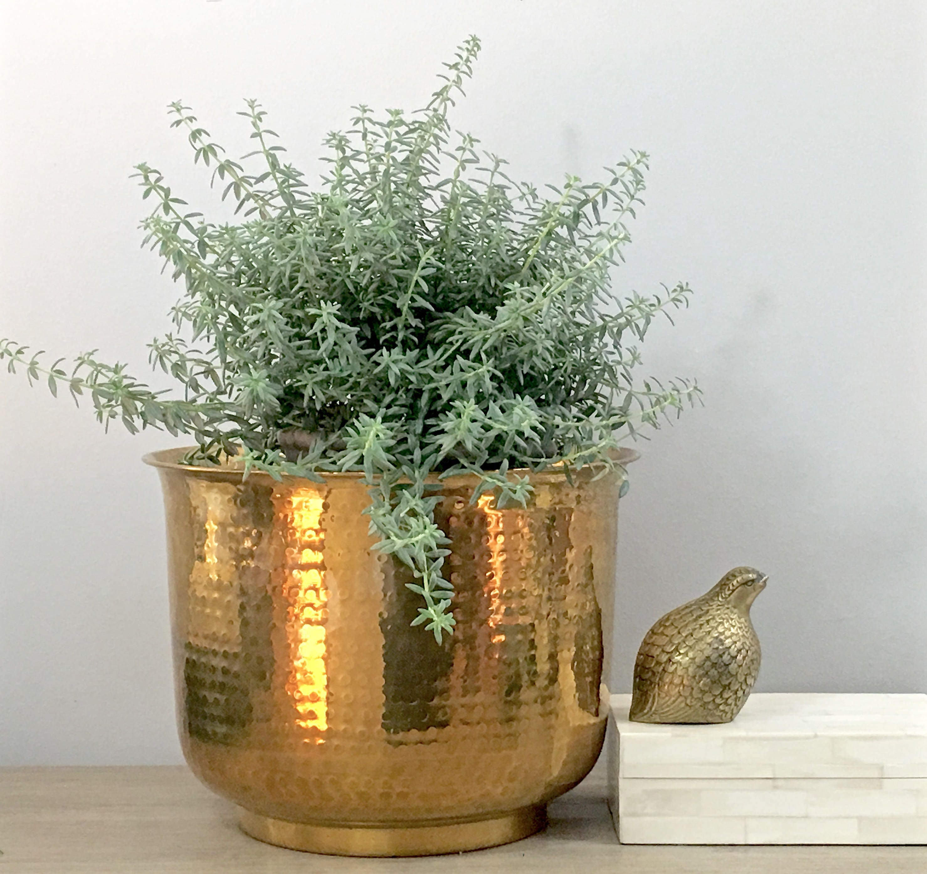 indoor gold planter