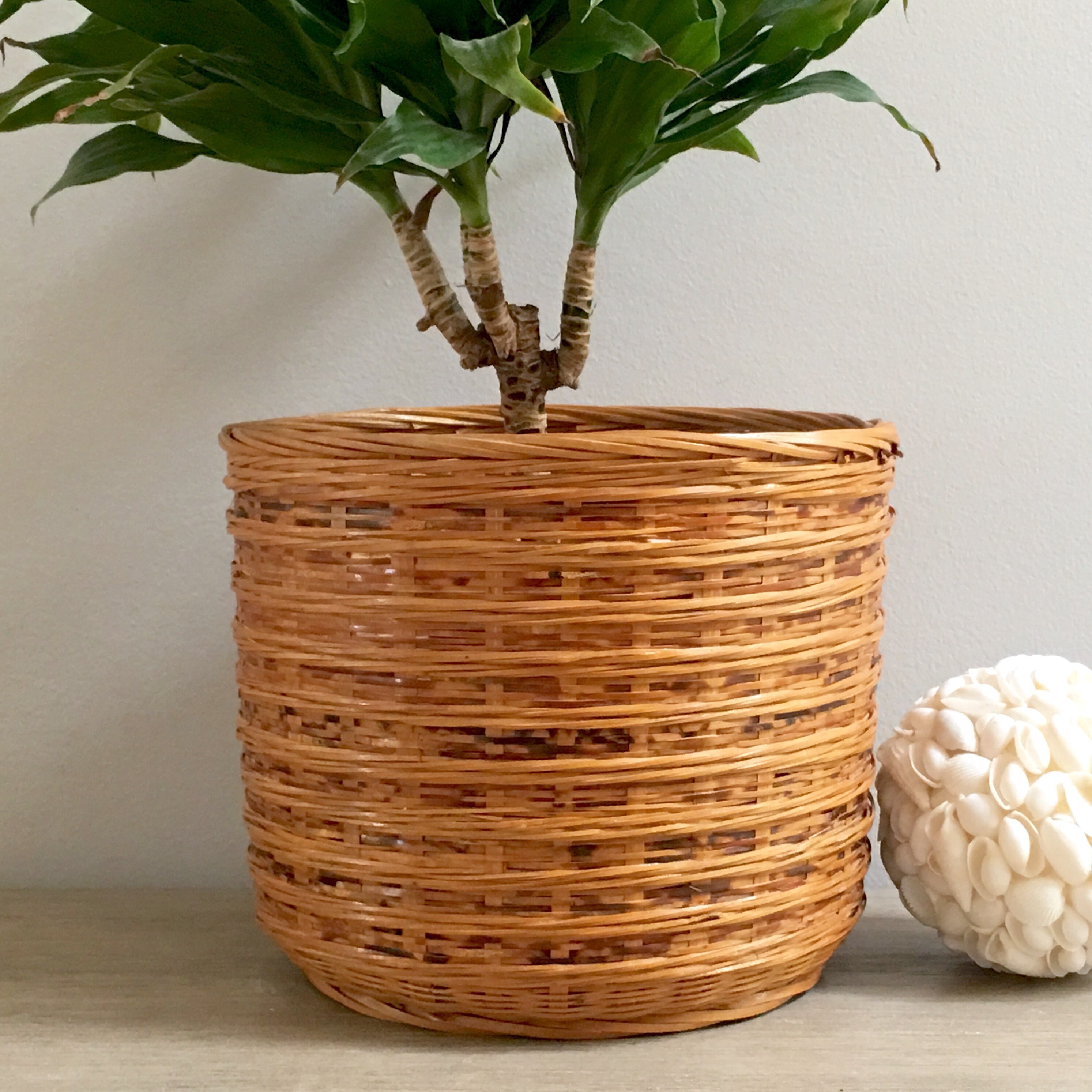 Wicker Plant Basket Pot Woven Planter Tortoise Shell Reeds