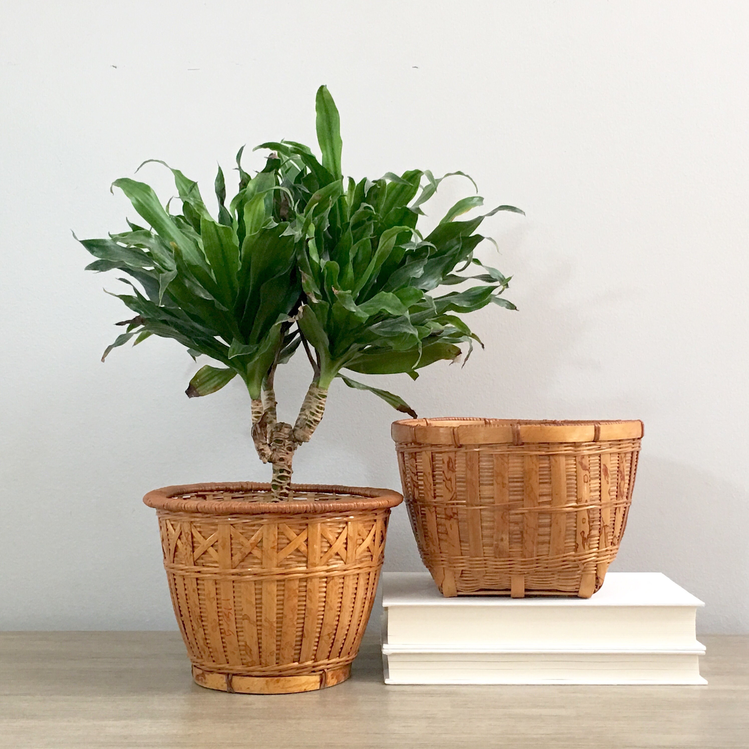 Pair Woven Plant Baskets Indoor Bamboo Basketweave Planters