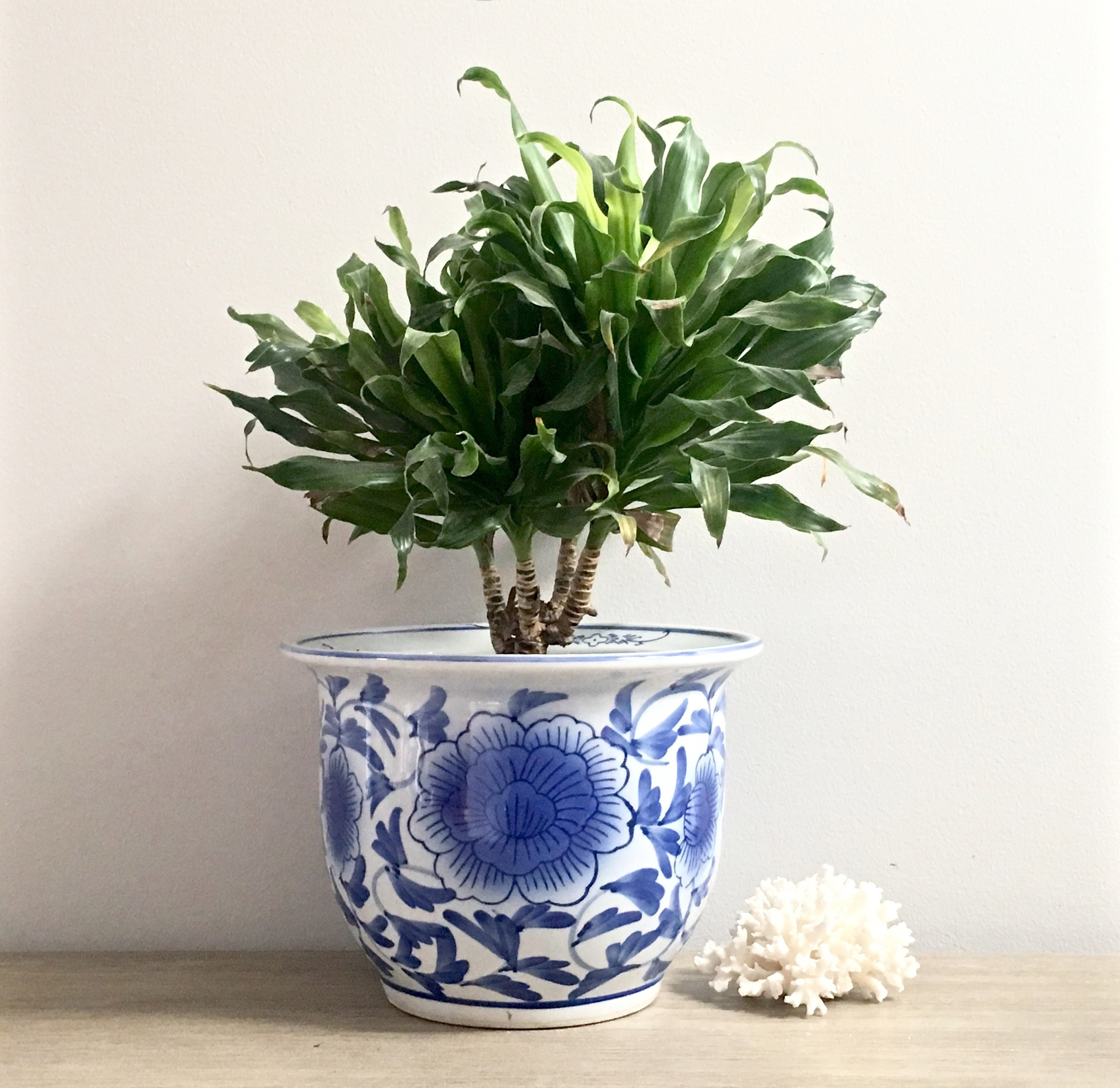 Blue White Chinese Planter Chinoiserie Indoor Flower Pot